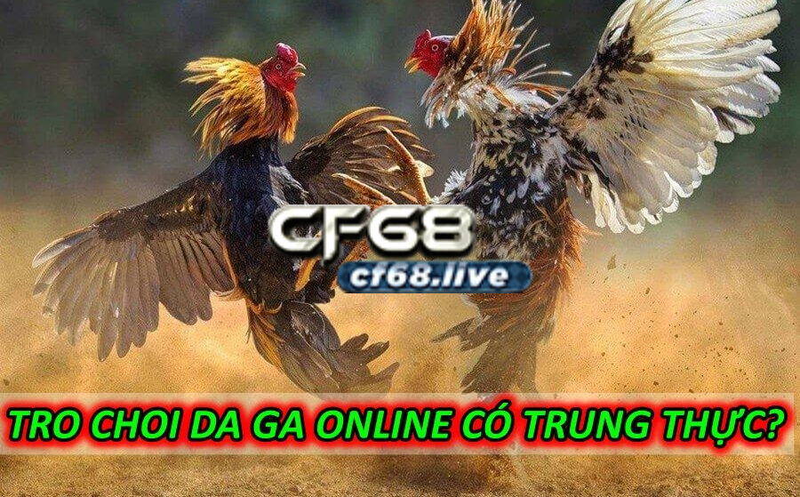 Trò chơi đá gà online cf68 club có trung thực không?