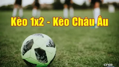 Toàn trận 1×2 là gì – Chơi kèo 1×2 như nào trong năm 2022