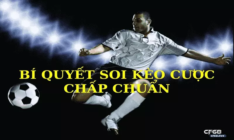 Học ngay bí quyết soi kèo chấp 0 0.5 chuẩn để chiến thắng