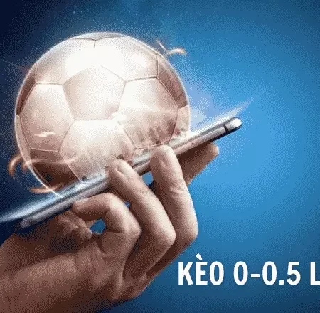 Kèo 0 0.5 là gì? Loại kèo 0 0.5 trong cá cược bóng đá?