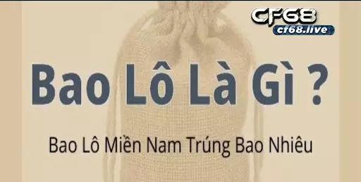 Bao lô – Hướng dẫn chi tiết cách đánh dành cho người mới 1