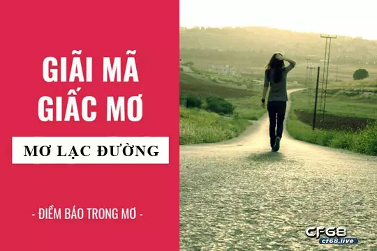 Nằm mơ thấy đi lạc đường nên đánh con gì để thắng lớn