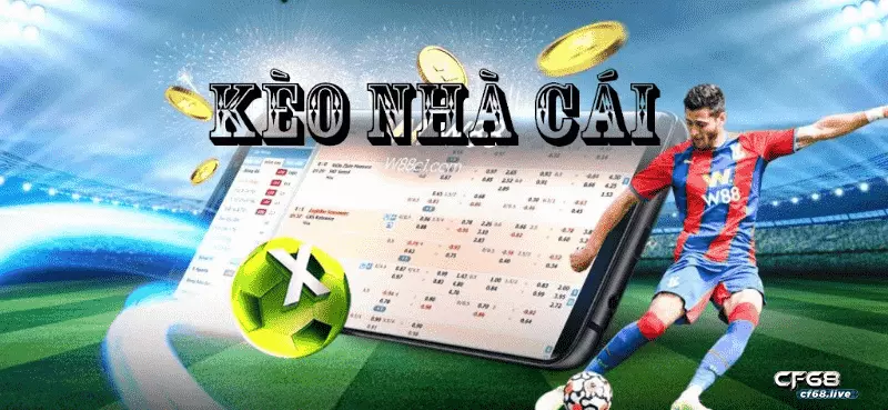 cách đọc kèo bóng đá tại cf68