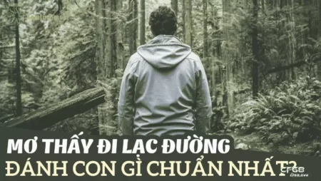 mơ thấy đi lạc đường cf68