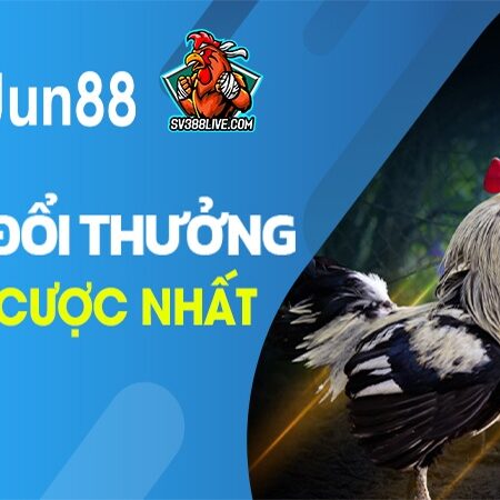 Đá gà online tại casino jun88 – Sân chơi uy tín, chuyên nghiệp