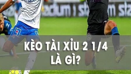 Tài xỉu 2 1 4 là gì? Khám phá chi tiết đọc kèo, chốt kèo hiệu quả