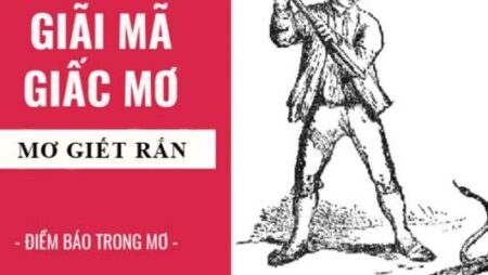 Mơ thấy giết rắn nên đánh số gì? Giả mã giấc mơ chính xác 99%